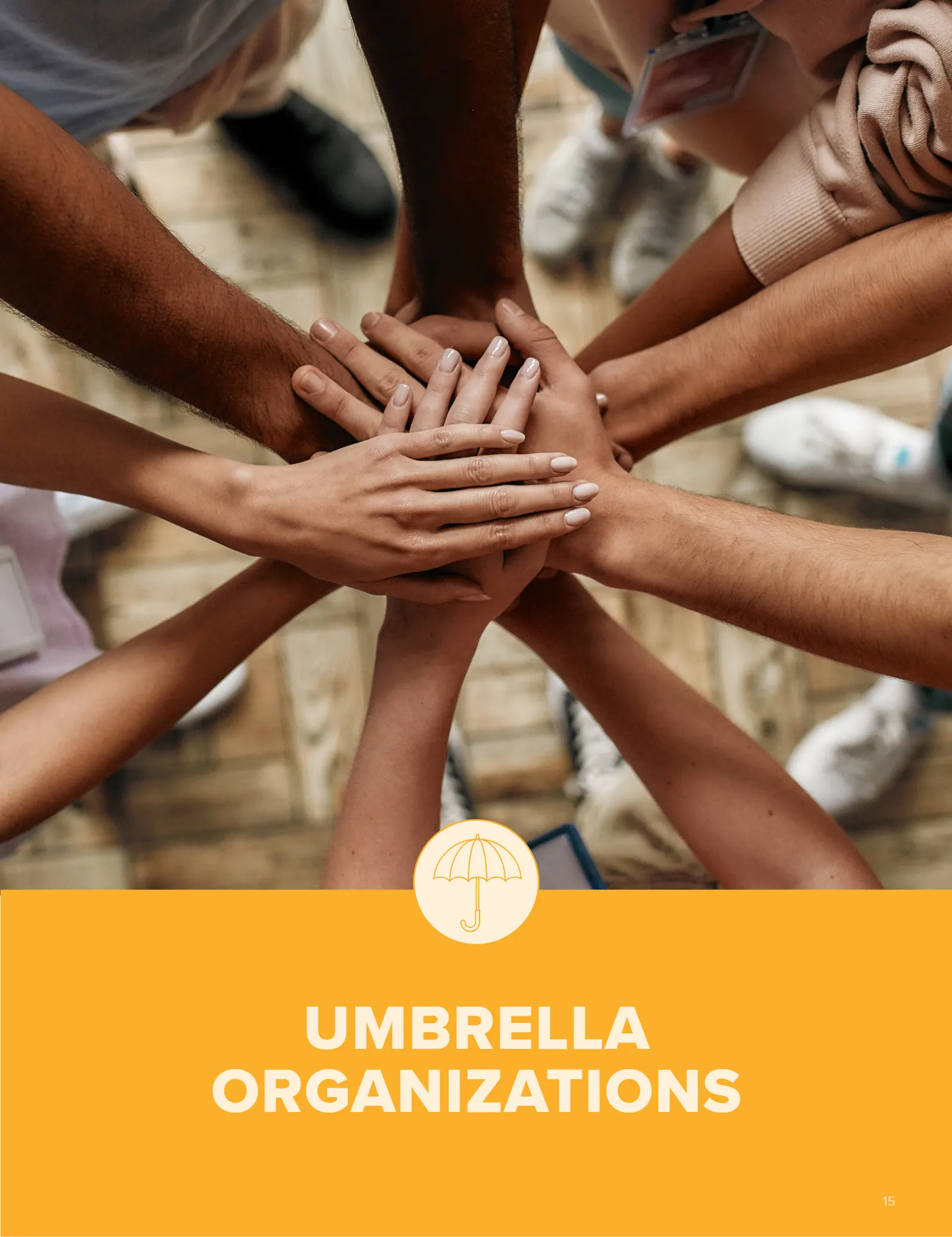 Arizona Tax Credit Guide 2025-26 — Maricopa County Edition, page 15