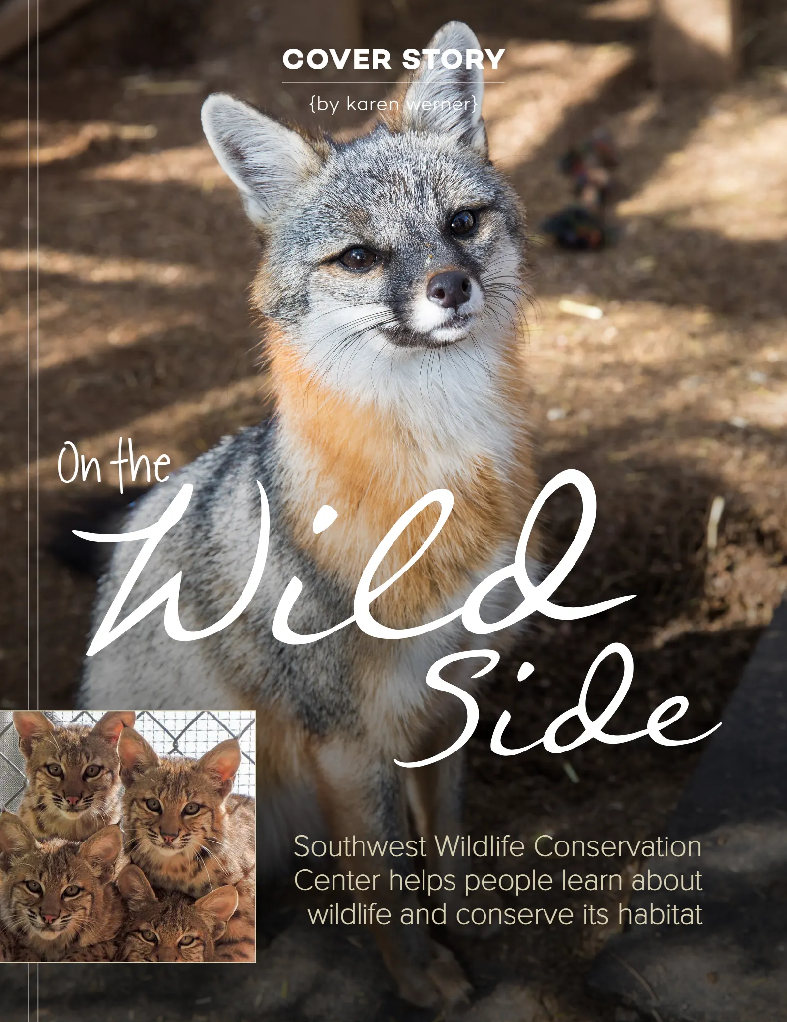 April 2020 Issue, page 22