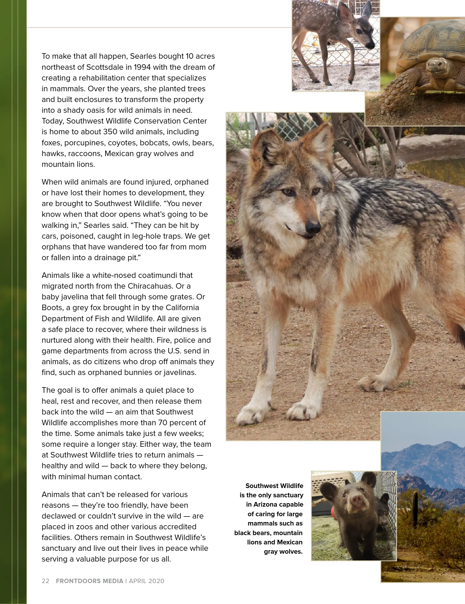 April 2020 Issue, page 24