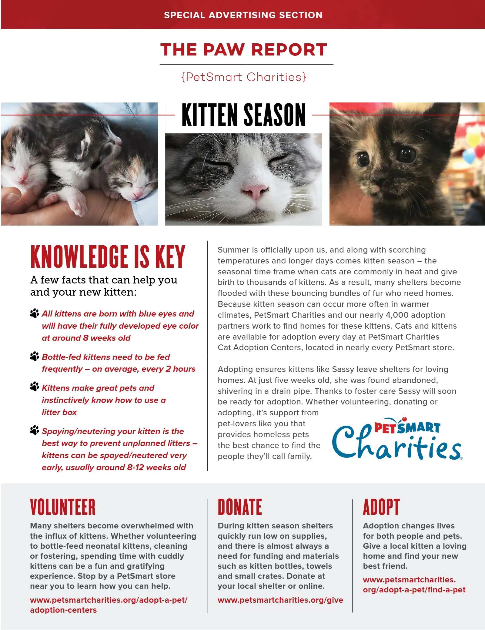 July 2019 Issue, page 11