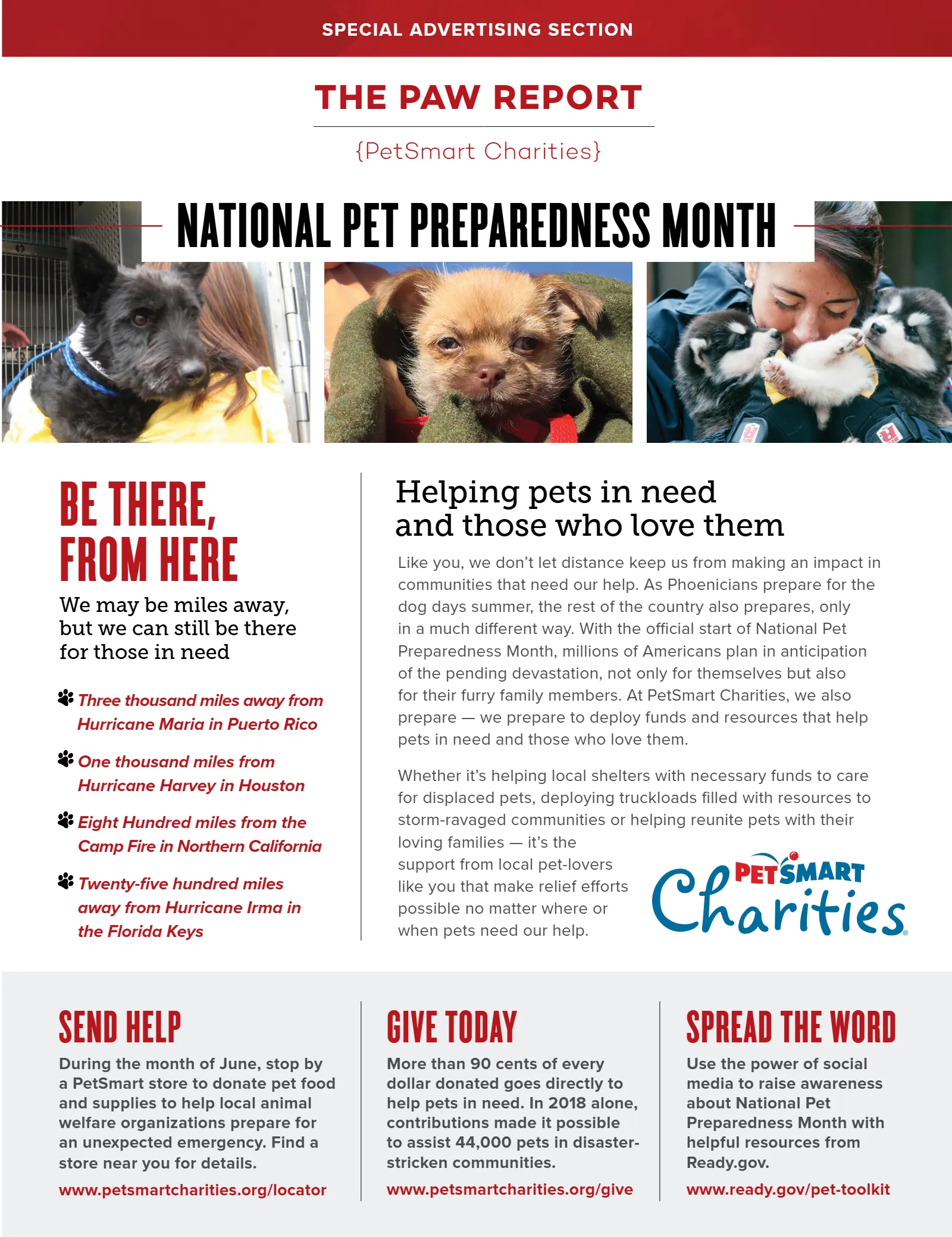 June 2019 Issue, page 11