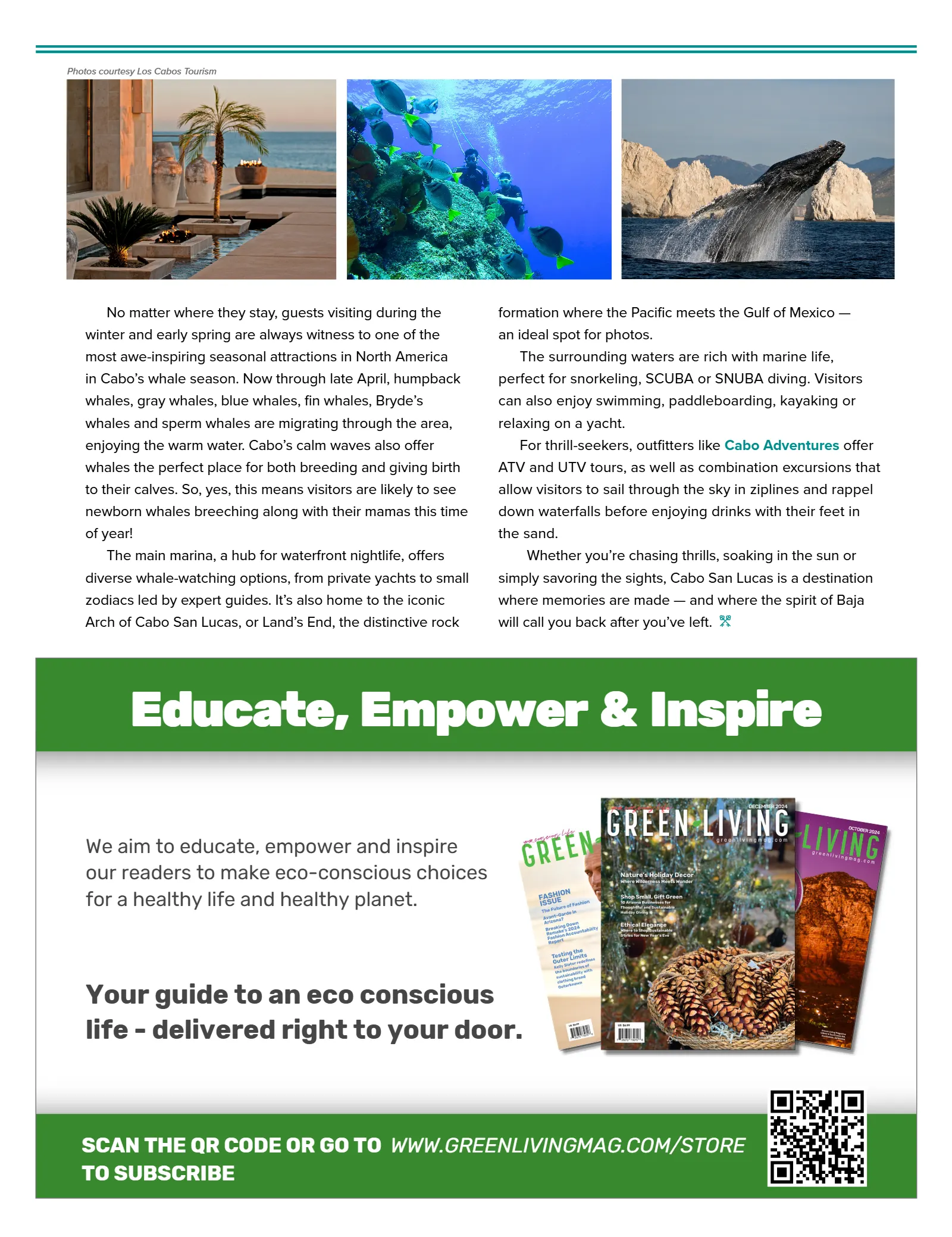 The Winter Issue 2025, page 61