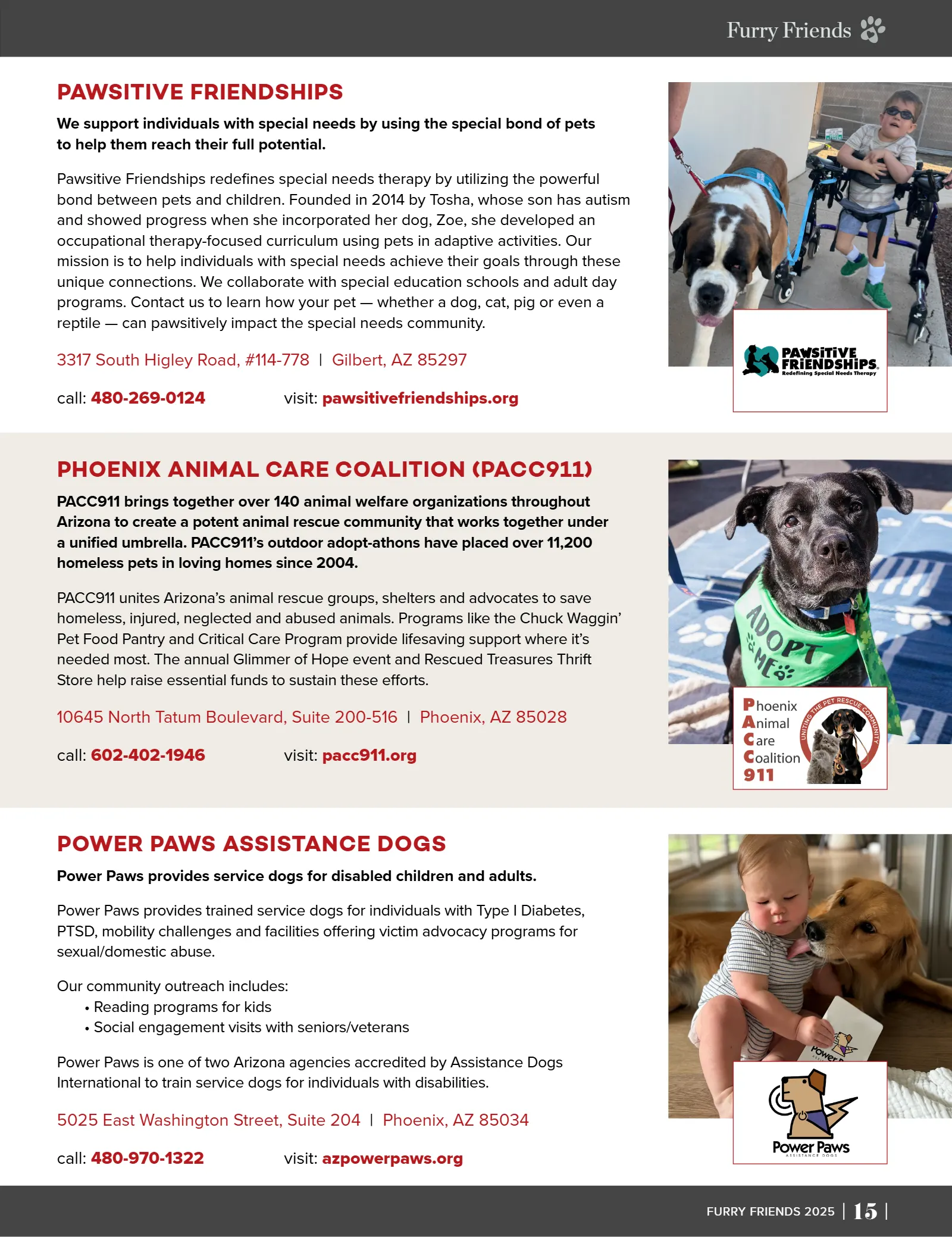 Furry Friends 2025, page 17